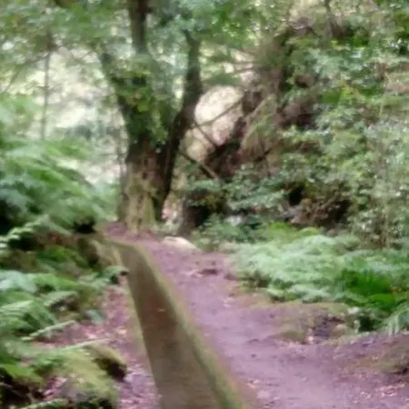 ホームステイ Sea View House