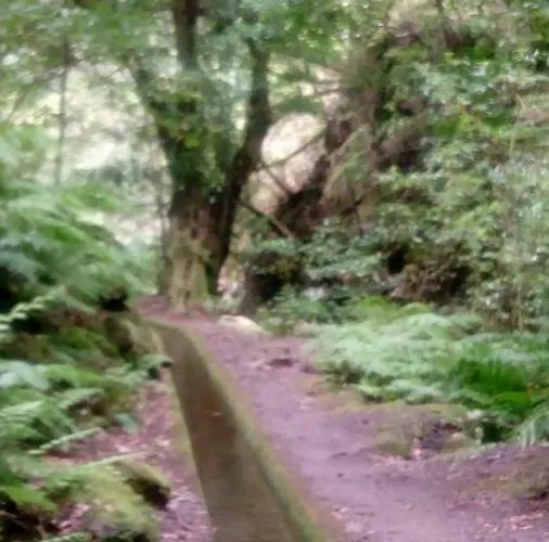 Rum i privatbostad Sea View House